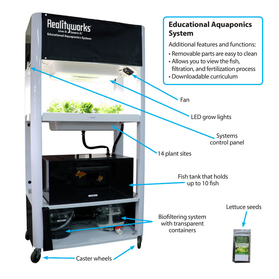 Educational Aquaponics System