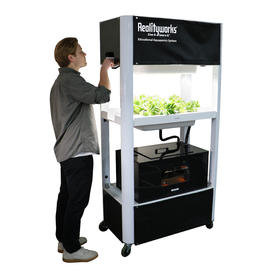 Educational Aquaponics System