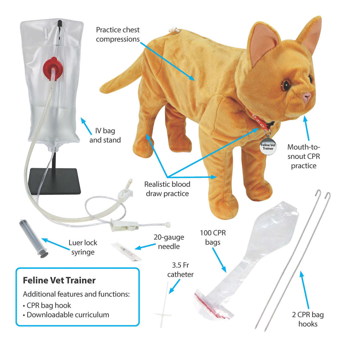 Feline Vet Trainer