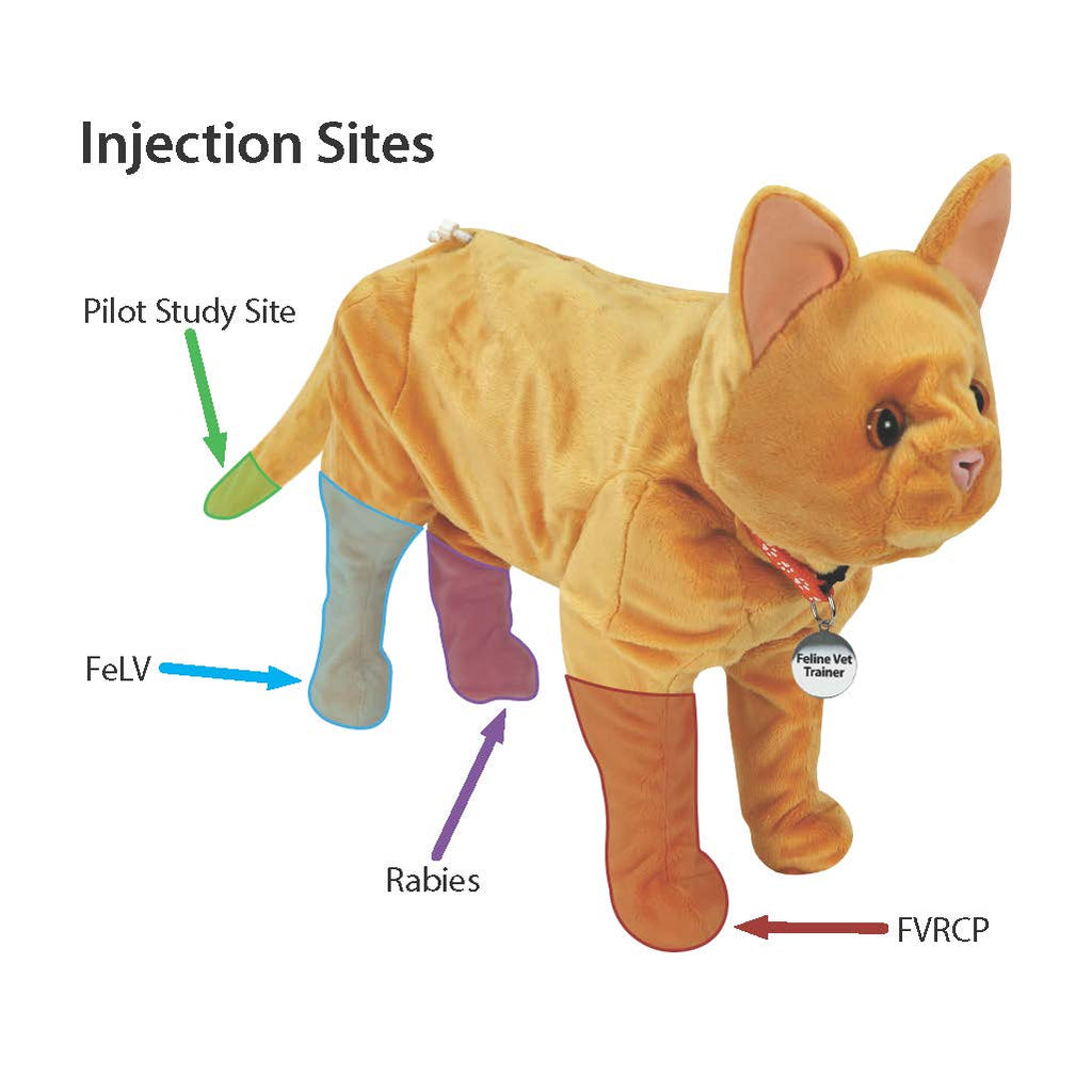 Feline Vet Trainer