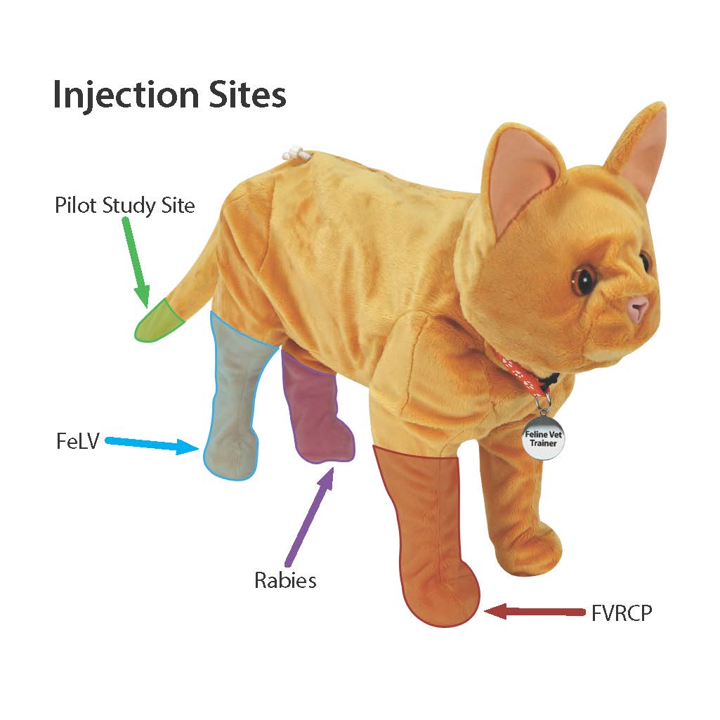 Feline Vet Trainer