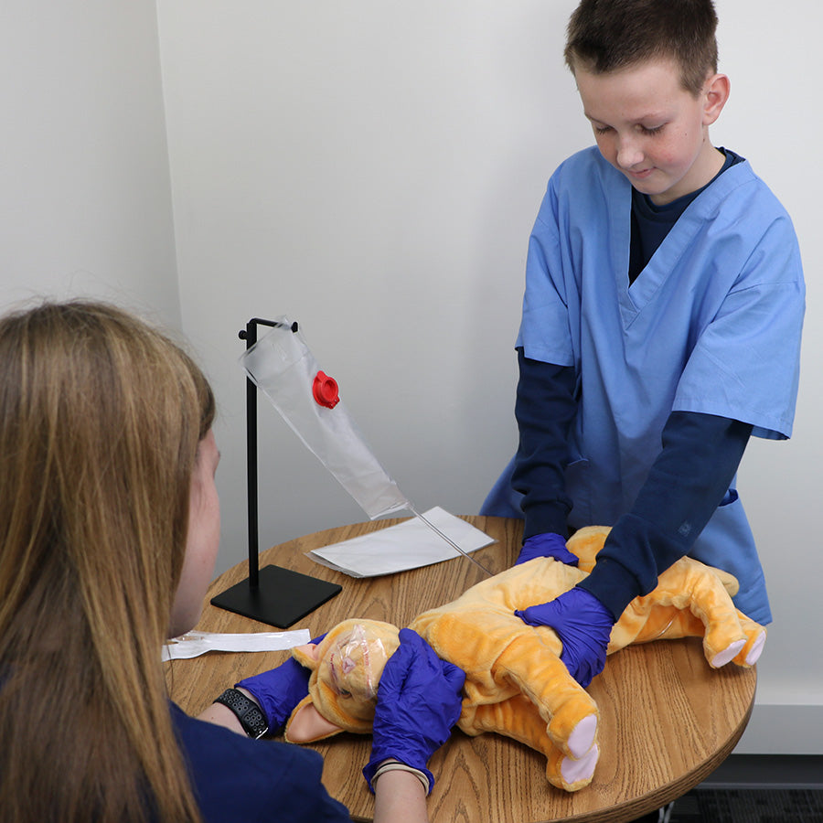 Feline Vet Trainer