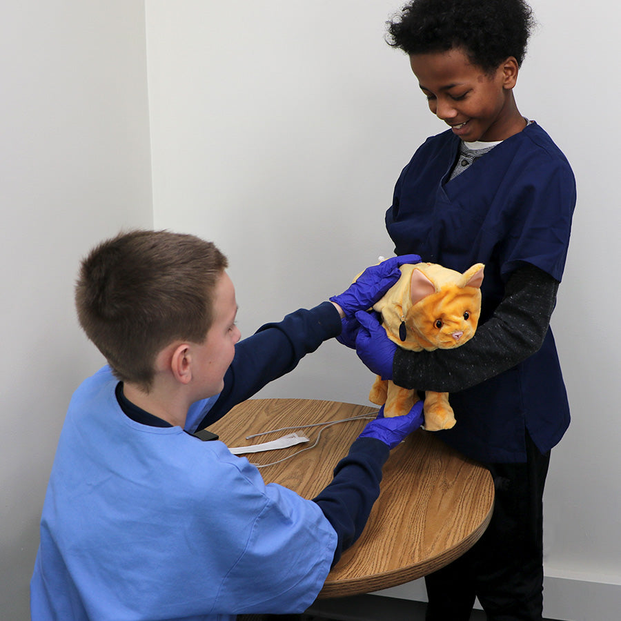 Feline Vet Trainer