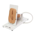 Female Catheterization Trainer on Stand