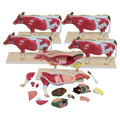 Small Cow Model Set (5-pack)