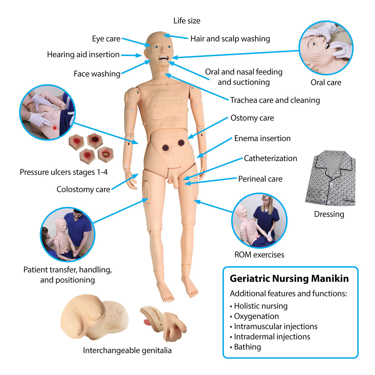 Geriatric Nursing Manikin