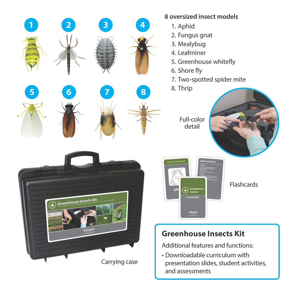 Greenhouse Insects Kit