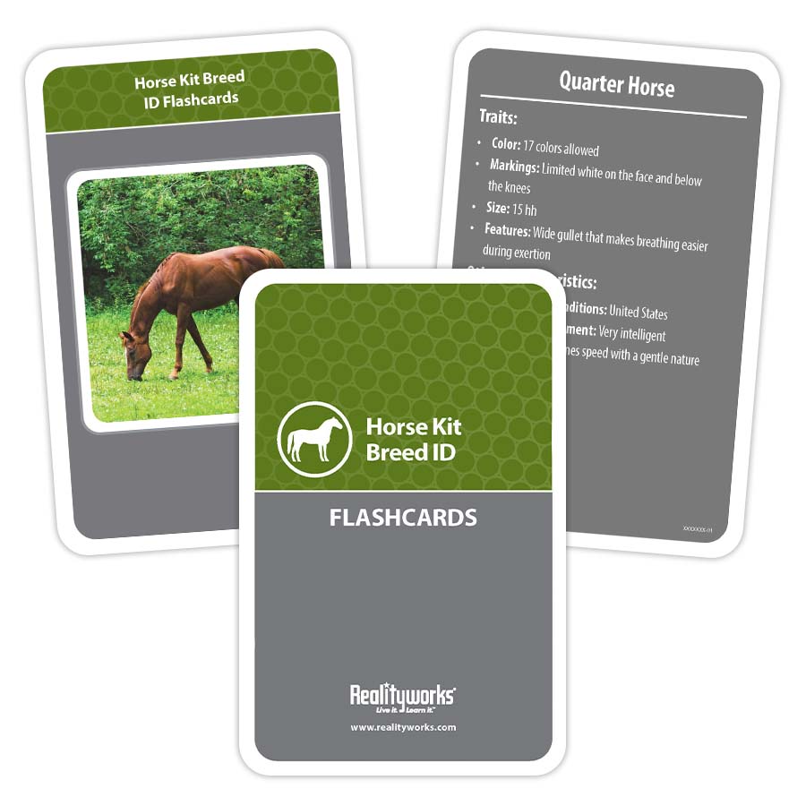 Horse Kit