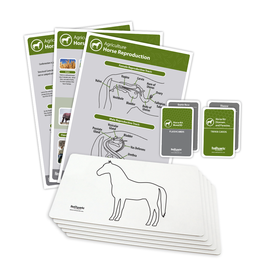 Horse Kit