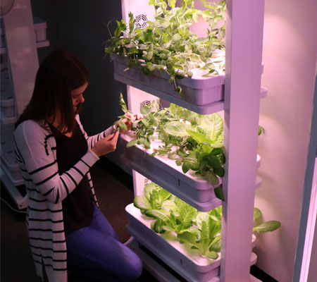 Hydroponics Plant System Package