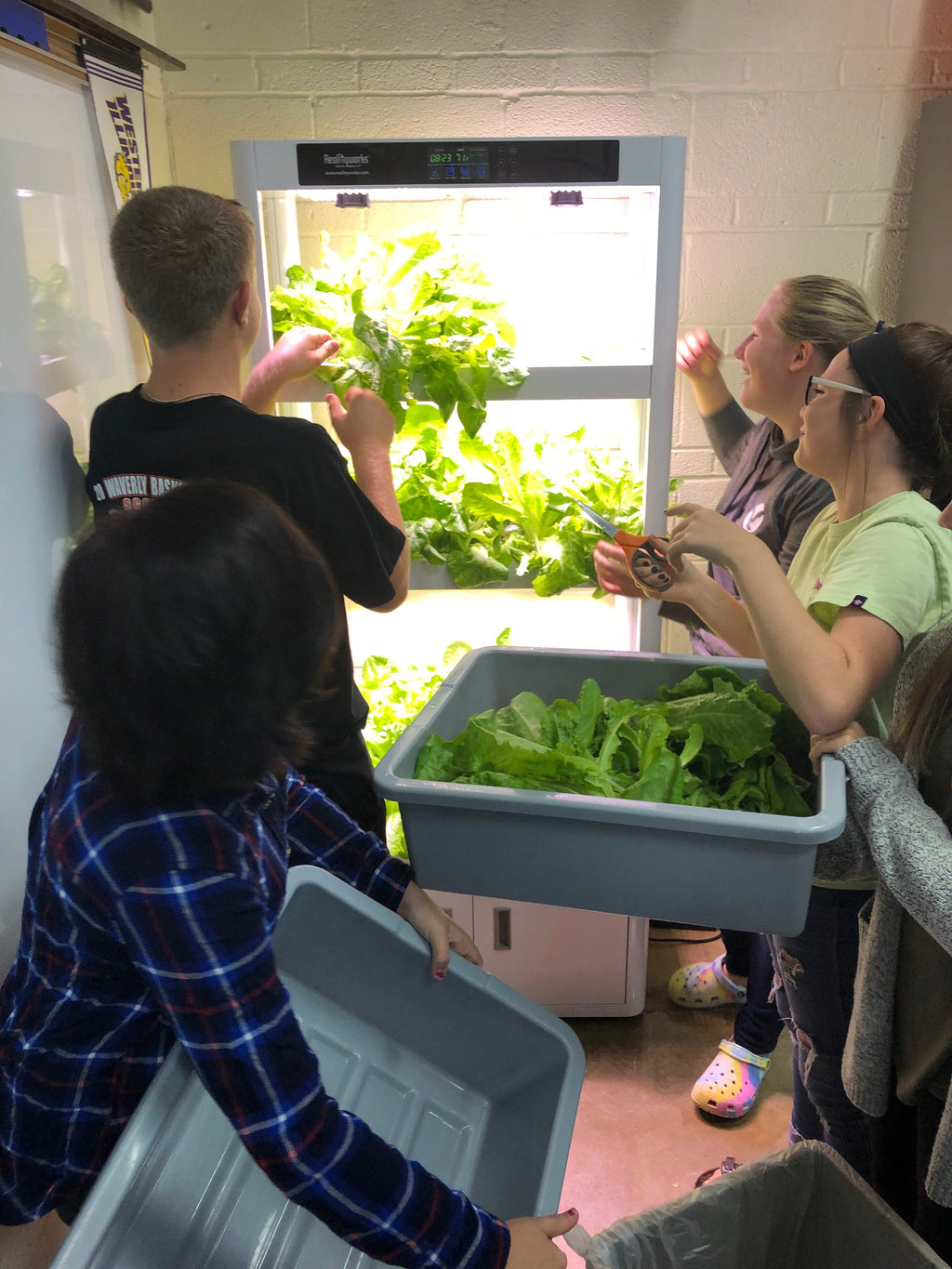 Hydroponics Plant System Package