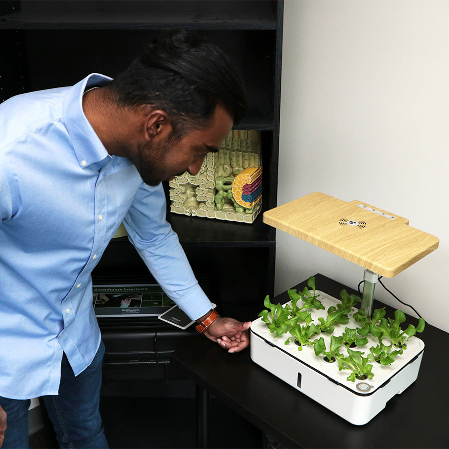 Plant Mini Educational Hydroponics System Class Pack (5-pack)