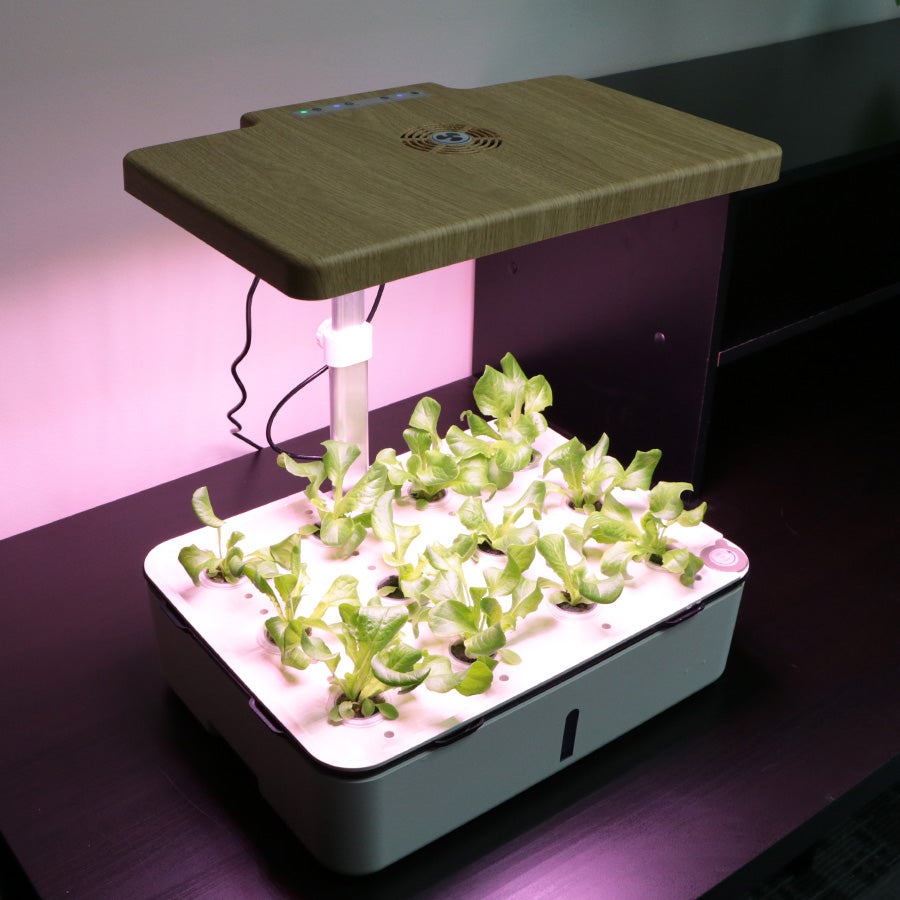 Plant Mini Educational Hydroponics System Class Pack (5-pack)