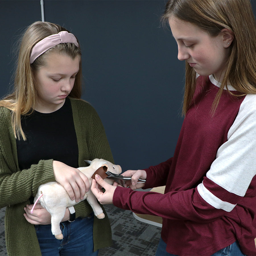 Swine Litter Processing Simulators