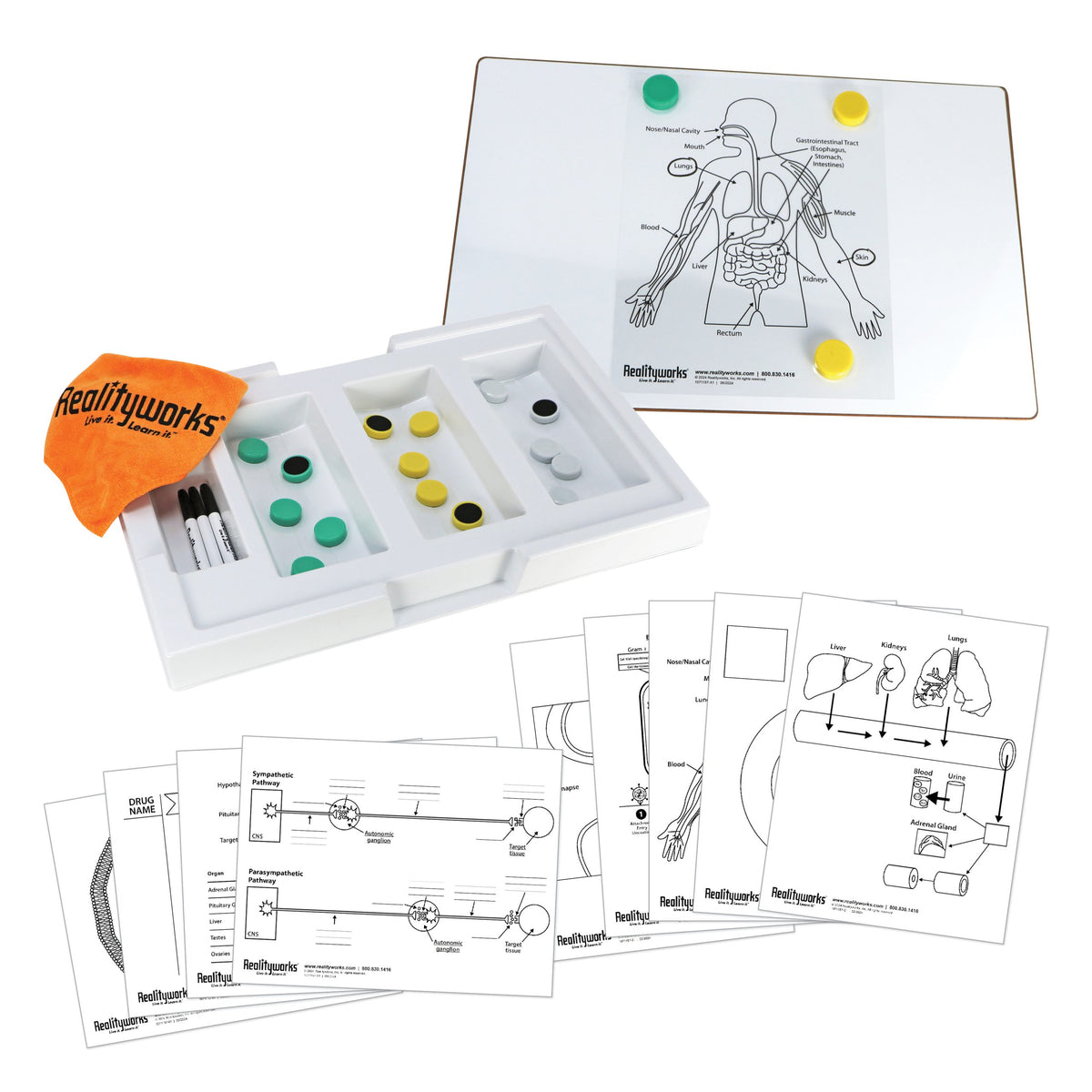 Pharmacology Activity Kit