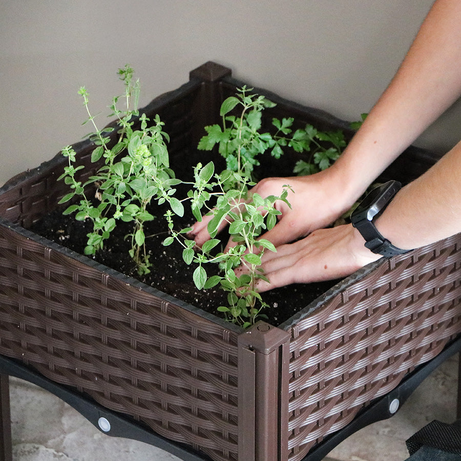 Raised Bed Containers (Set of 5)