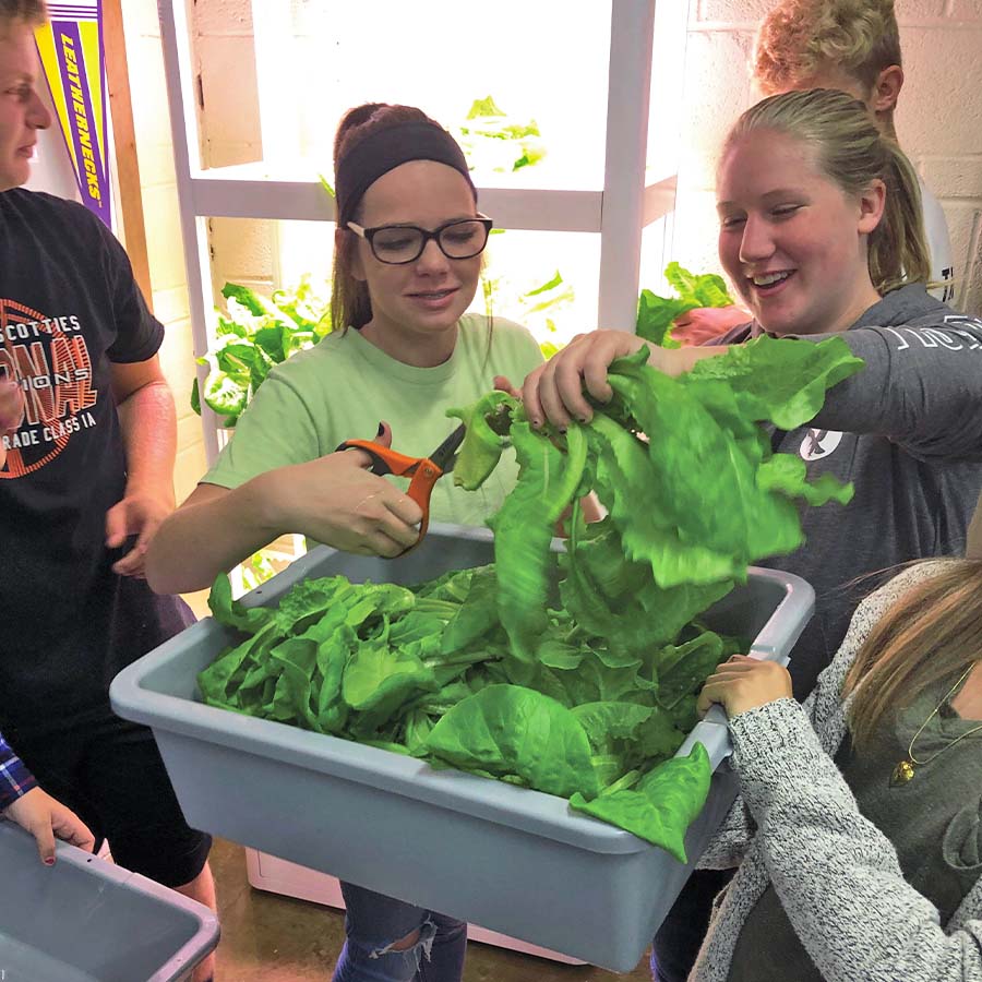 Plant Producer Educational Hydroponics System