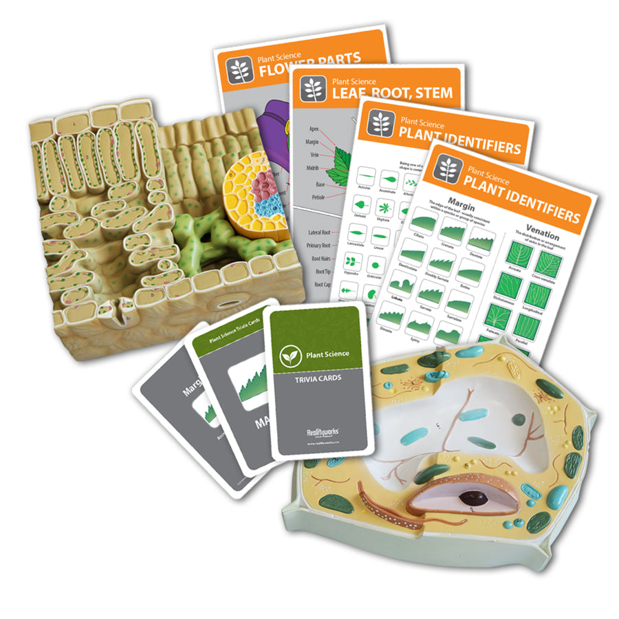 Plant Systems Package