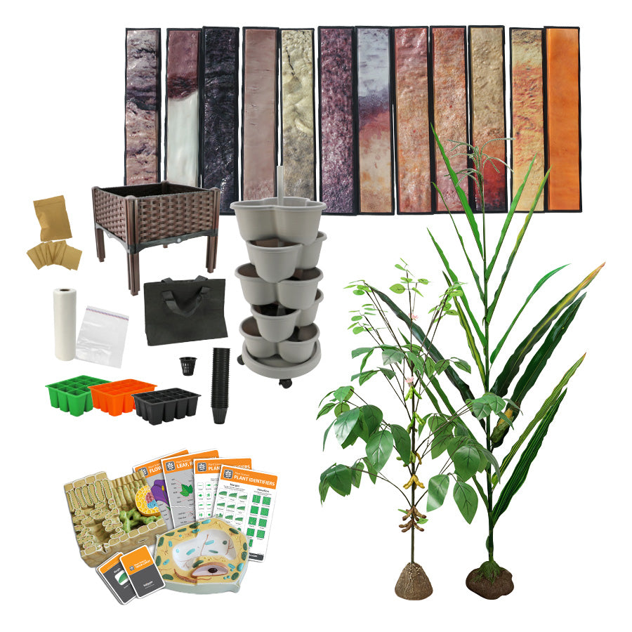 Plant Systems Package