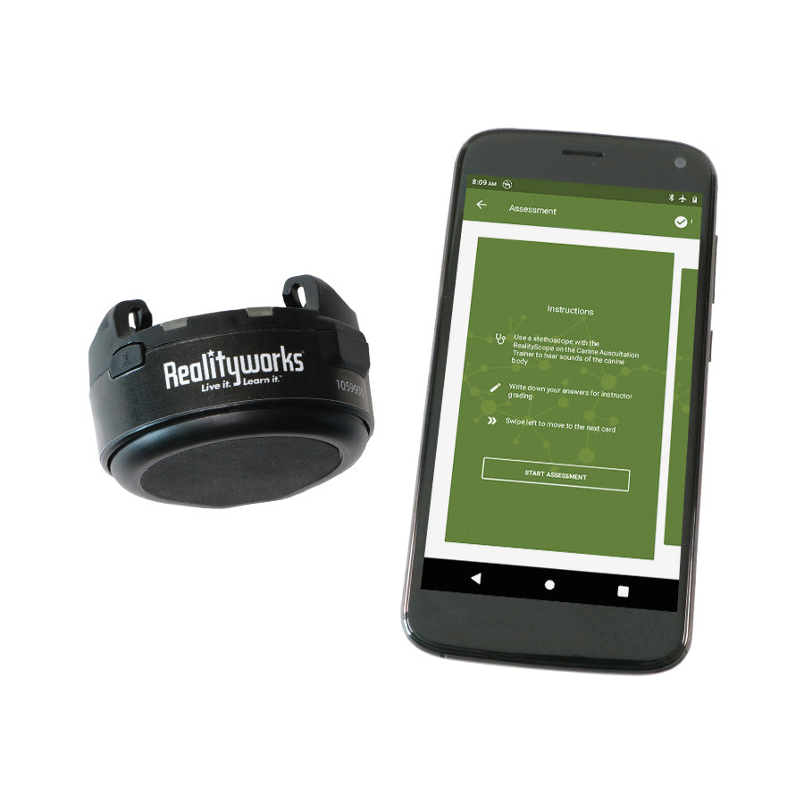 Canine Auscultation Trainer