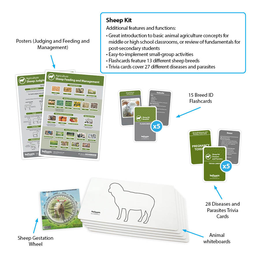 Sheep Kit