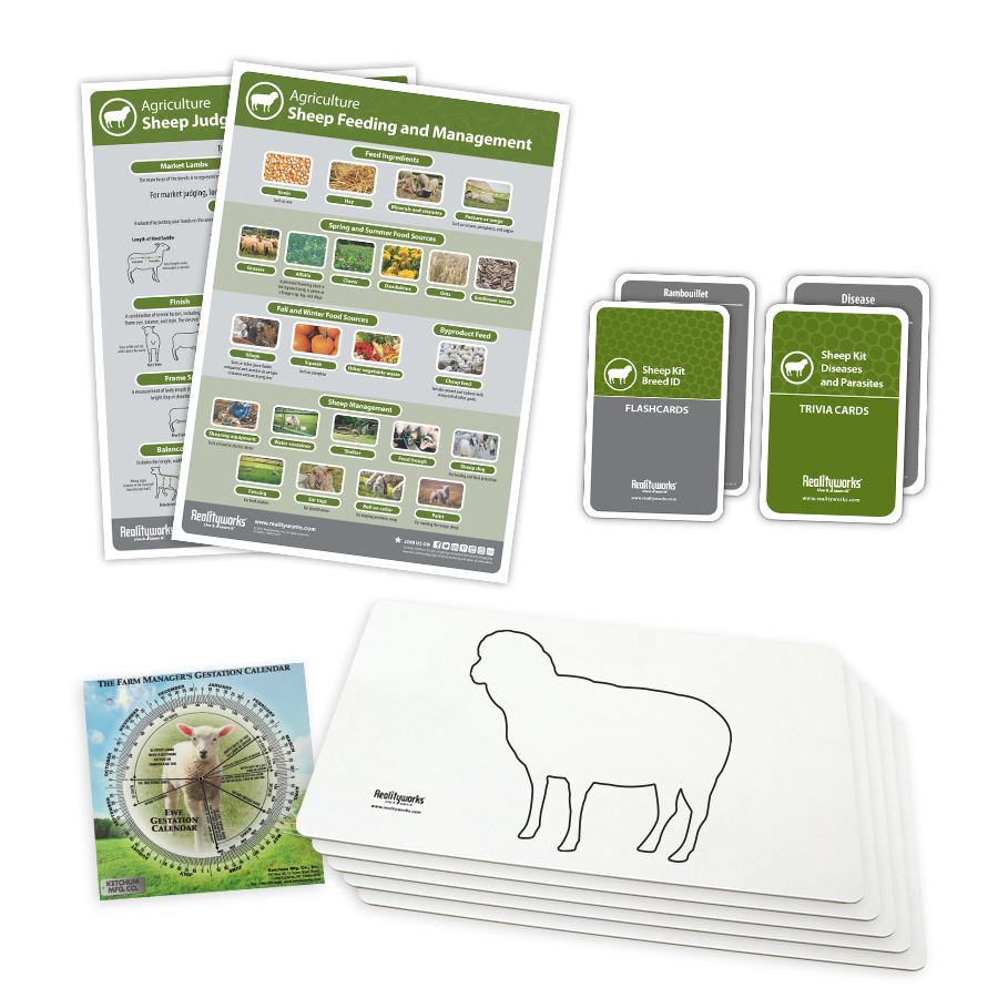 Sheep Kit