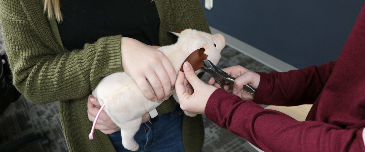 Swine Litter Supply Pack
