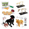 Veterinary Science Package