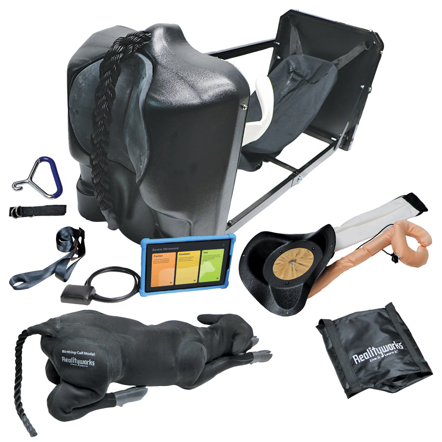 Bovine Birthing and Ultrasound Simulator