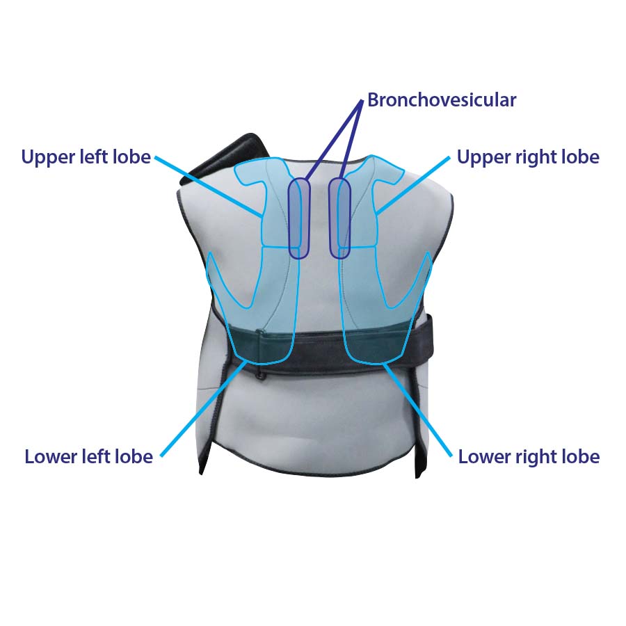Wearable Auscultation Trainer