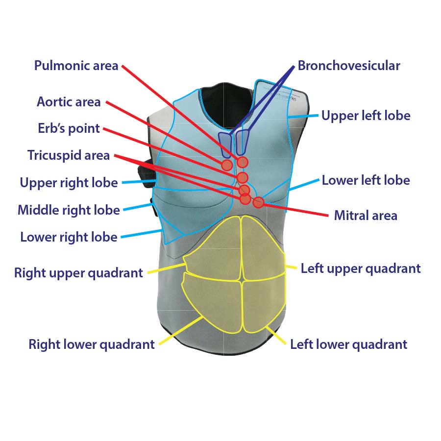 Wearable Auscultation Trainer