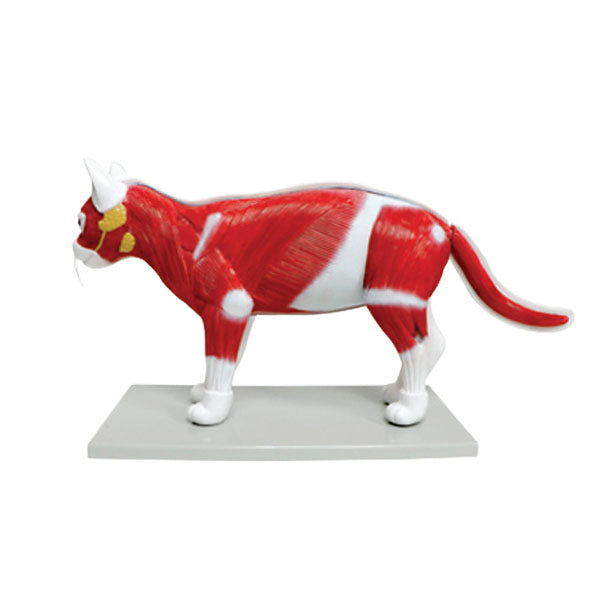 Animal Systems Package
