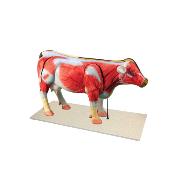 Animal Systems Package