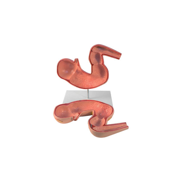 Animal Systems Package