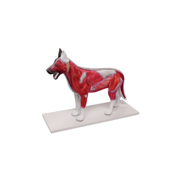 Animal Systems Package