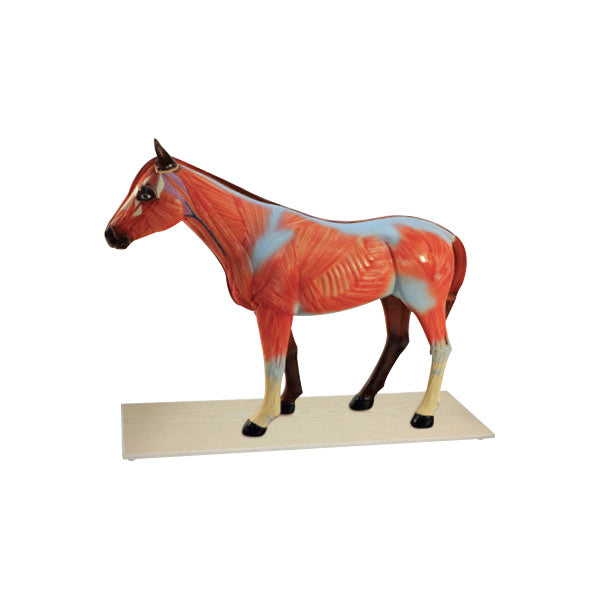 Animal Systems Package