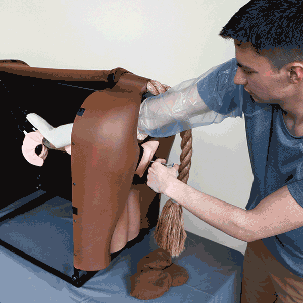 Bovine Breeder™ artificial insemination simulator