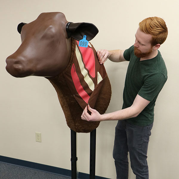 Bovine Injection Simulator