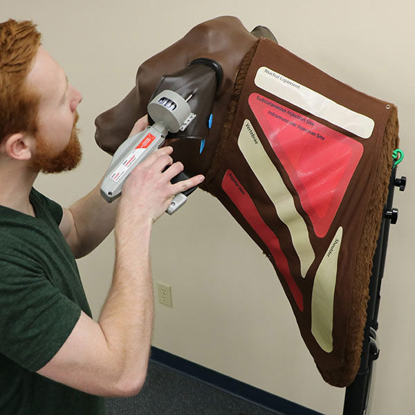 Bovine Injection Simulator