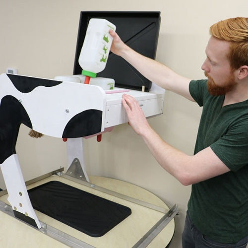 Bovine Milking Udder