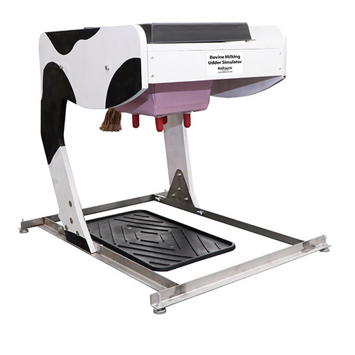 Bovine Milking Udder