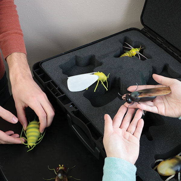 Greenhouse Insects Kit