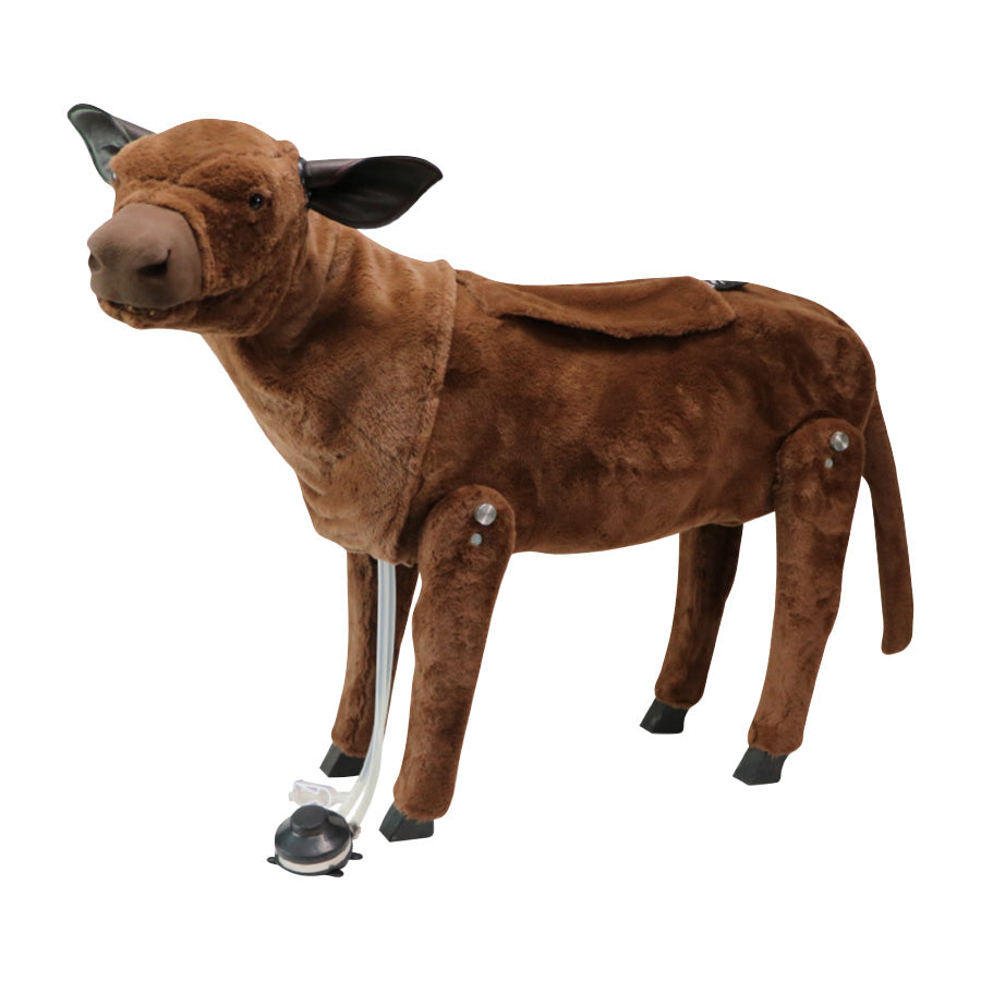 Calf Simulator