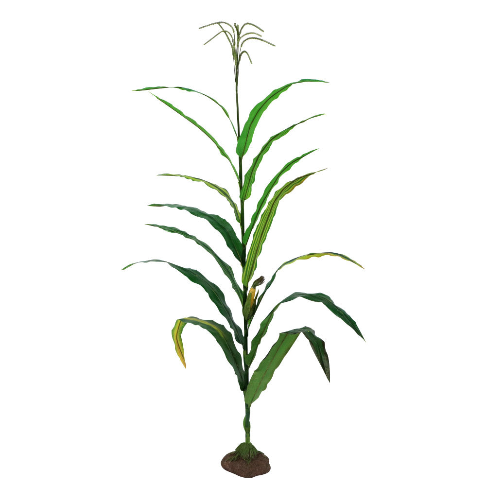 Plant Systems Package