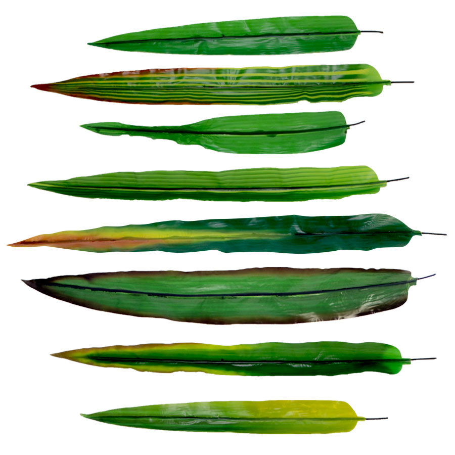 Corn Stalk Model