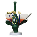 Dicot Flower Model
