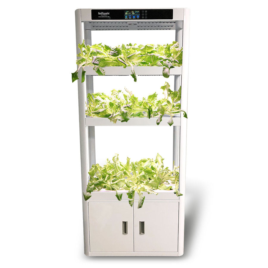 Plant Producer Educational Hydroponics System