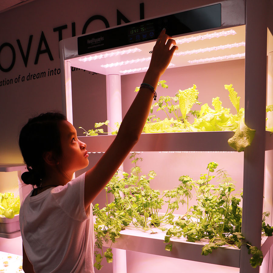 Plant Producer Educational Hydroponics System