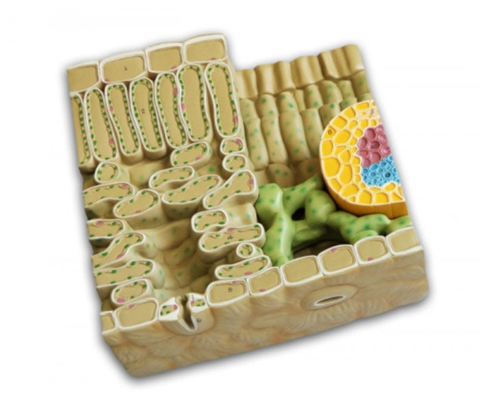 Plant Science Kit