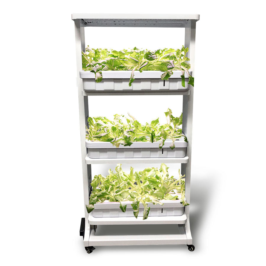 Plant Lab Educational Hydroponics System